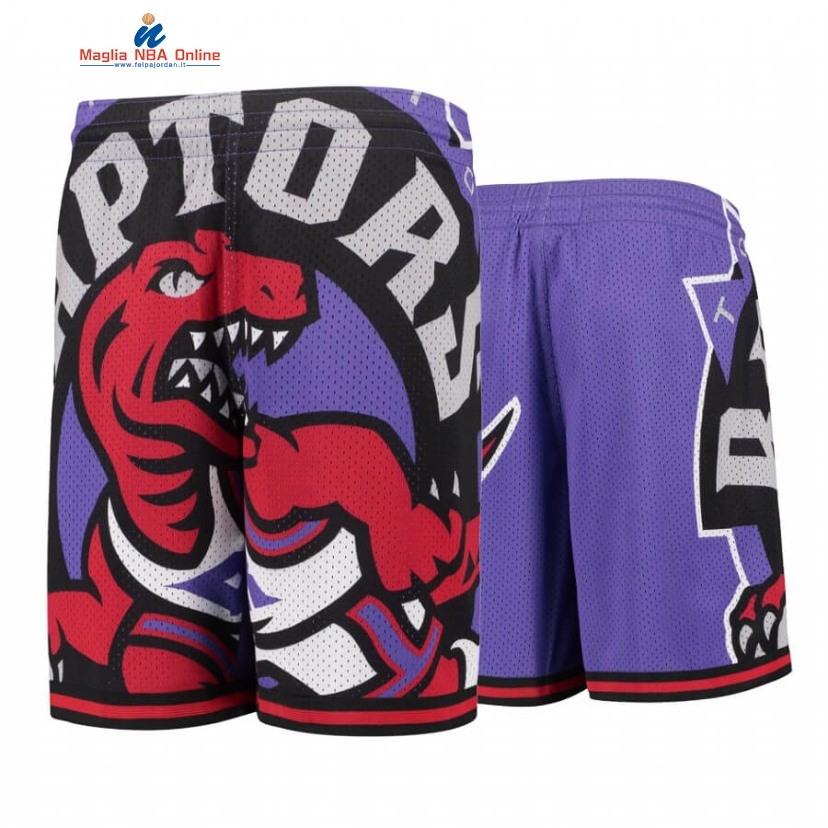 Pantaloni Basket Toronto Raptors Porpora Hardwood Classics 2020 Acquista