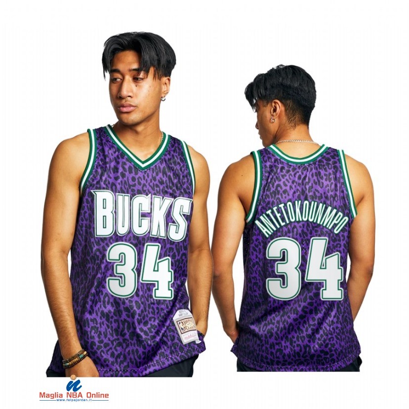Maglia NBA Milwaukee Bucks NO.34 Giannis Antetokounmpo Porpora Hardwood Classics 2021