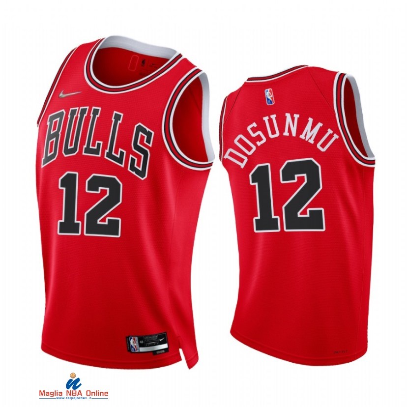 Maglia NBA Nike Chicago Bulls NO.12 Ayo Dosunmu 75th Season Diamante Rosso Icon 2021-22