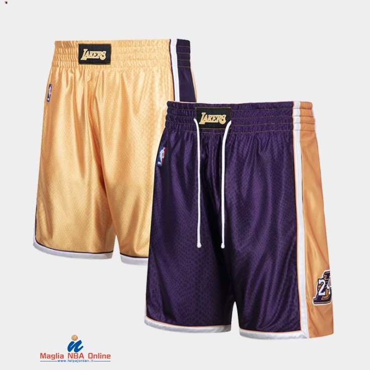 Pantaloni Basket Los Angeles Lakers Porpora Hardwood Classics 2021