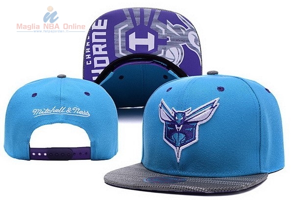 Acquista Cappelli 2016 Charlotte Hornets Blu Grigio