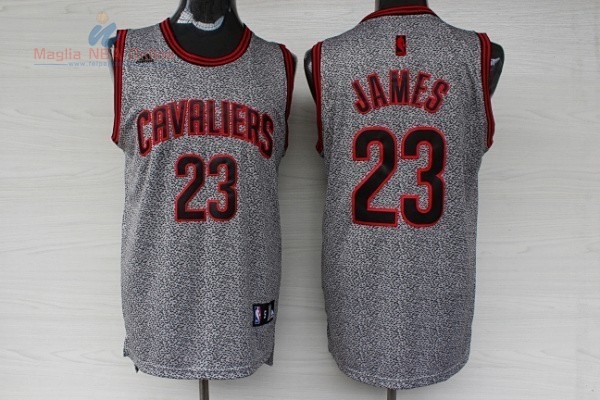 Acquista Maglia NBA 2013 Fashion Statico Cleveland Cavaliers #23 James