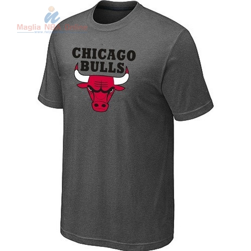 Acquista T-Shirt Chicago Bulls Grigio Ferro