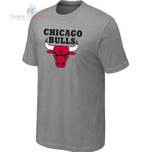 Acquista T-Shirt Chicago Bulls Grigio