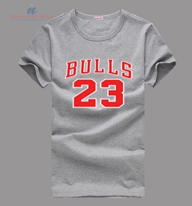Acquista T-Shirt Chicago Bulls Jordan #23 Grigio